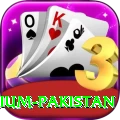 Big Winner Game Premium Pakistan